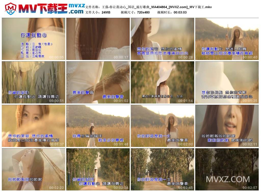 王强-你让我动心_国语_流行歌曲_MA404864